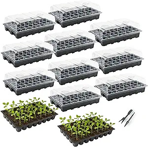 91dffs0tull. ac sy300 sx300 ql70 fmwebp 